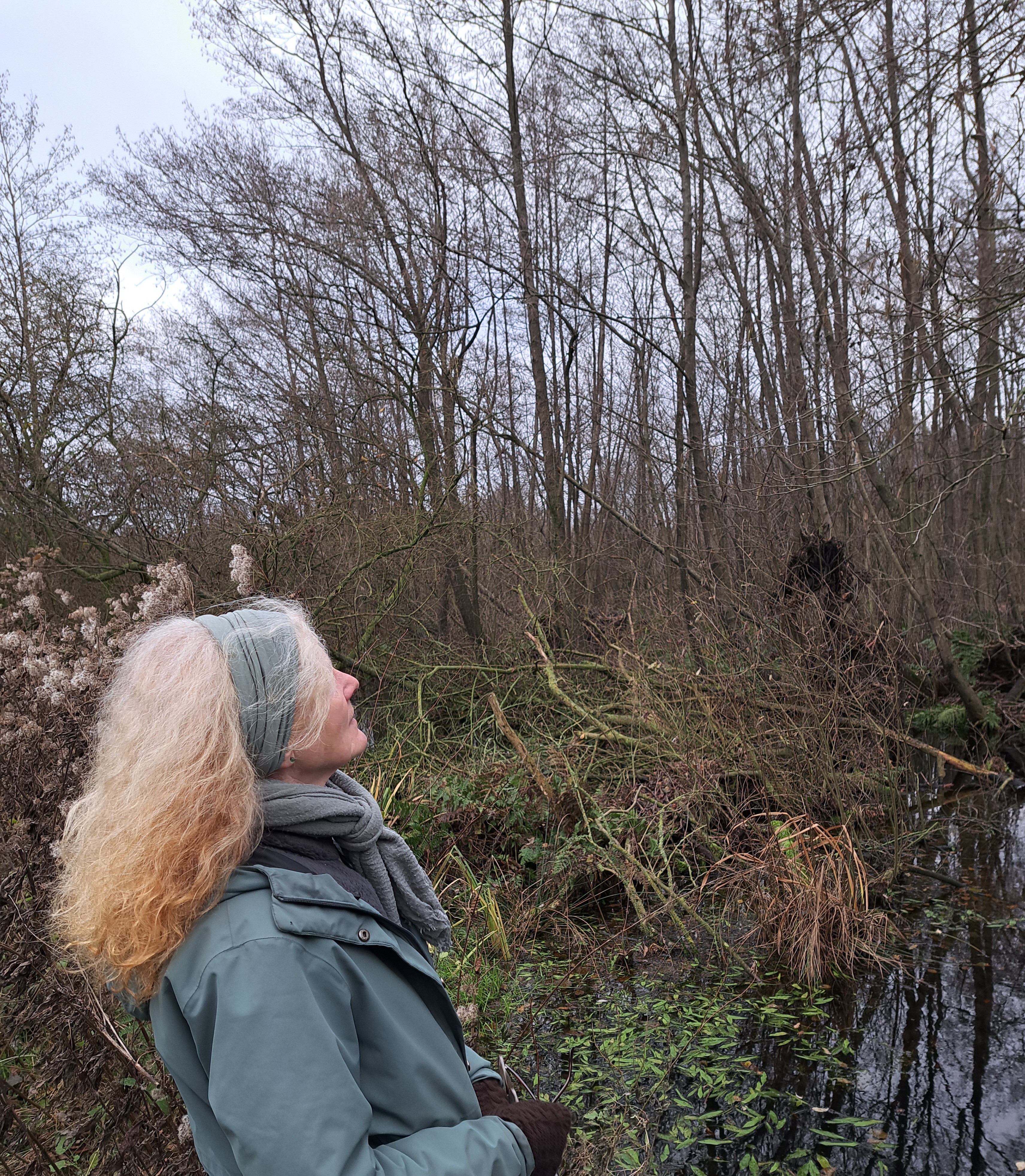  | Stichting Bos dat van zichzelf is