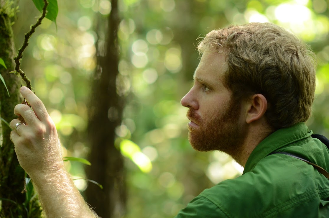  | Stichting Bos dat van zichzelf is