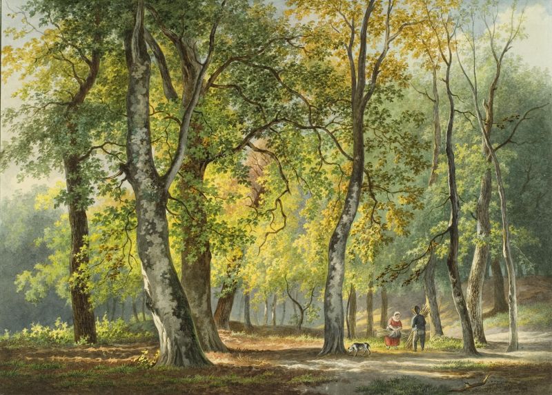 Wees welkom: Wandelen & verhalen Haagse Bos | 28 februari 2026 om 10:00 uur | Haagse Bos | gratis deelname | Stichting Bos dat van zichzelf is